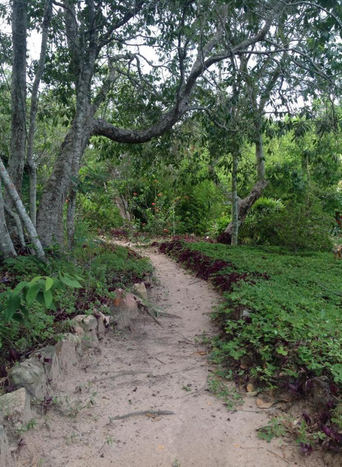 Riachinho Pousada Fazenda 韦尔卡鲍 外观 照片