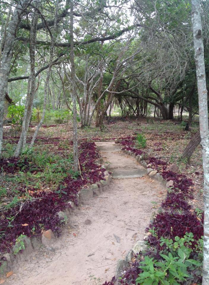 Riachinho Pousada Fazenda 韦尔卡鲍 外观 照片
